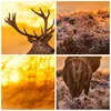 Wanduhr - Quadrat - Glasuhr - Herbst landschaft natur blatt Produktbild-Vorschau 8