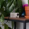 A small silver radio sits on a wooden shelf surrounded by lush green plants. Voir les images du produit
