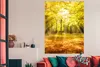 MuchoWow® Poster Baum - Natur - Sonne - Landschaft - Wald Produktbild-Vorschau 2