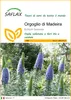 SAFLAX  - Orgoglio di Madeira - 100 semi - Echium Anteprima dell’immagine prodotto 1