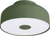 A green ceiling lamp with a white diffuser. Produktbild-Vorschau