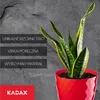 KADAX Doniczka Plastikowa z Podstawką Donica Osłonka Kwiaty Podgląd zdjęcia produktu 7