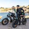 HITWAY E Bike Elektrofahrrad für Erwachsene 20 Zoll 4.0 Fat Produktbild-Vorschau 6