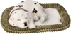 Perfect Petzzz 96279 Dalmatiner Produktbild-Vorschau 1