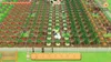 Story of Seasons - Pioneers of Olive Town Nintendo Produktbild-Vorschau 5