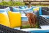 MuchoWow® Outdoor Kissen - Schottisches Hochlandrind - Produktbild-Vorschau 4