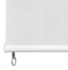 vidaXL vonkajšia rolo žalúzia, 245 cm (šírka) x 230 cm Náhľad obrázku produktu 3