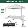 FCH 3x3m Pop Up Pavillion Gartenzelt Gartenpavillon Produktbild-Vorschau 2