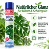 Chrysal leaf shine - 750 ml - do nabłyszczania liści i Podgląd zdjęcia produktu 2