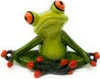 Formano Frosch, zittend in een yogahouding Productafbeelding-voorbeeld 4