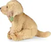 RAPPA Plyšový labrador na sedenie 27 cm ECO-FRIENDLY Náhľad obrázku produktu 4