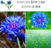 Kornblumen Samen (Centaurea cyanus) - Wunderschön Produktbild-Vorschau 3