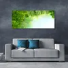Acrylglasbilder 125x50 Wandbild Druck Blätter Natur Produktbild-Vorschau 3
