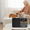 Mini FM rádio - Bluetooth - prenosné, napájané batériou - Náhľad obrázku produktu 9