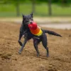 Beeztees Wassereis - Hundespielzeug - Neopren - 43x18x9 cm Produktbild-Vorschau 4