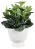 Clayre & Eef Pot de fleurs Ø 17x15 cm Blanc Céramique Voir les images du produit 2