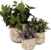 Vaso da fiori Clayre & Eef Ø 11x10 cm Fiori di Anteprima dell’immagine prodotto 3