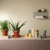 Eika Wachswerke GmbH Kerze/Rustik 13x6,8 jadegrün jadegrün Produktbild-Vorschau 3