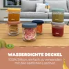 BEABA Portionsbehälter 250ml 6er 616551 3384349140083 Voir les images du produit 8