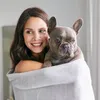 A woman is holding a French bulldog wrapped in a gray blanket. Produktbild-Vorschau