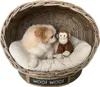 Rattanowy kosz dla psa IGLO z poduszką Podgląd zdjęcia produktu 1