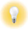Ampoule Led Standard E27 17,5w 2452lm 2700k Lumière Chaude Voir les images du produit 9