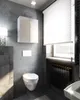 A modern bathroom with a wall-mounted cabinet, toilet, and window with blinds. Produktbild-Vorschau