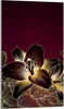 Glasschneidebrett 30x52 Orchidee Produktbild-Vorschau 1
