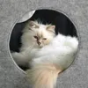 D&D Spielwürfel I Love Happy Cats "Nala" grau Produktbild-Vorschau 4