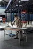 Bosch Akku-Schlagbohrschrauber GSB 18V-55, Solo Version Produktbild-Vorschau 25