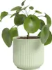 Artevasi Luna Pot, Grün, 1,32 l, 135 mm, 126 mm, 6 Stück(e) Produktbild-Vorschau 3