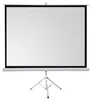 celexon basic Stativ-Leinwand 110" | 200x200 cm 1:1 | Produktbild-Vorschau 1