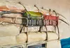 Kobolo Wandbild 3D-Bild 108x72cm BEACH BULLY - XXL - Produktbild-Vorschau 14