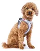 Glow curli Clasp Vest Harness Reflective Gray M Produktbild-Vorschau 7