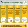 Spinnen Klebefalle mit Spezial-Lockstoff – 3x Fallen – Produktbild-Vorschau 3