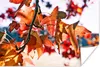 MuchoWow® Poster Ahorn - Blätter - Rustikal - Herbst 30x20 Produktbild-Vorschau 1