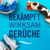 A marketing image with text and objects related to freshness and cleanliness. Produktbild-Vorschau