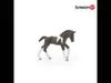 Puledro Trakehner Schleich Anteprima dell’immagine prodotto 2