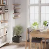 A corner of a room with bookshelves, a plant, and a dining table with a chair. Anteprima dell’immagine prodotto