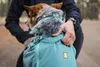 Ruffwear Hitch Hiker™ Hunderucksack, Farbe:River Rock Produktbild-Vorschau 9