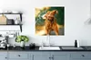 MuchoWow® Poster Nass - Hund - Wasser 75x75 cm - Wand Produktbild-Vorschau 3