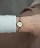 Daniel Wellington hodinky DW00100741 Productafbeelding-voorbeeld 5
