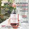Aavalabs Beta-Carotin 15 mg | Lyc-O-Beta® | Haut & Sehkraft Produktbild-Vorschau 12