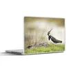 MuchoWow® Laptop Aufkleber Sticker Cover Vogel - Gras - Produktbild-Vorschau 1