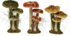 Deko-Figur Pilze 14 x 18 x 26 cm Produktbild-Vorschau 1
