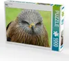 CALVENDO Puzzle Adler | 1000 Teile Lege-Größe 64x48cm Produktbild-Vorschau 2