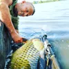 Tandem Baits 5-er Set Euro Boilies Knoblauch, Karpfen Produktbild-Vorschau 5