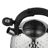 Bouilloire En Acier Inoxydable 2.5L Fenny Mirror Voir les images du produit 2