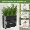 Hochbeet auf Rollen Kräuterbox 80x30x68 cm mobil schwarz Produktbild-Vorschau 2