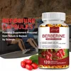 Berberine 1000mg (120 gélules) Complément alimentaire, Voir les images du produit 5